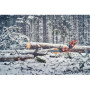 Husqvarna 560 XP® G Mark II