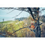 Husqvarna T542i XP®